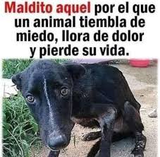 Grecia para todos | Facebook
