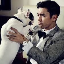 Hasil gambar untuk choi siwon