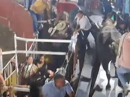 Un toro saltó la barrera y dejó varias personas heridas en el municipio de Coyaima, Tolima