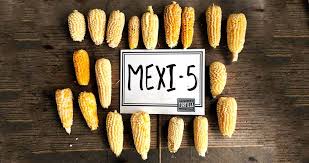 Resultado de imagen para palomitas mexicanas