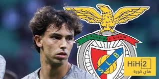 هاي كورة - News update