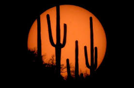A triple-digit week in Tucson