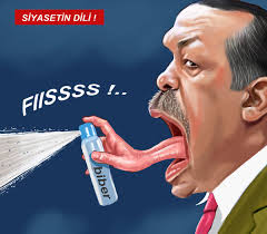 Image result for cartoons of erdogan + images
