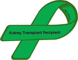 Kidney Transplant | Custom Ribbon: Kidney Transplant Recipient ... via Relatably.com