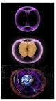 Resultado de imagen para APPLE TOROID