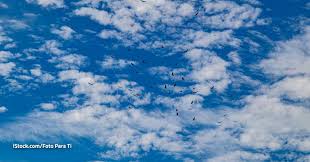 El clima del miércoles 14 de enero de 2026 para Zapopan