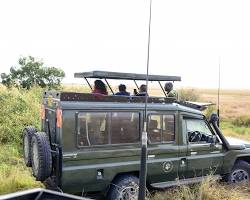Image of Kenya 4x4 safari