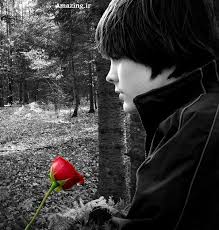 ˙·٠•●♥۩ کلبه تنهایی ۩♥●•٠·˙(عکس) 1