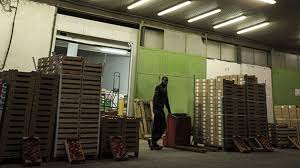 Résultat de recherche d'images pour "toril film"