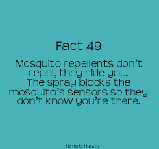 Mosquito Funny Quotes. QuotesGram via Relatably.com