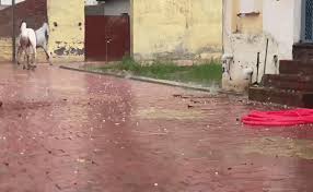 दिल्ली-नोएडा में दिन में छाया अंधेरा, कई इलाकों में आंधी के साथ भारी बारिश, गाजियाबाद में गिरे ओले