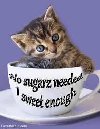 im sweet enough quotes cute quote cat pet kitten | For the love of ... via Relatably.com