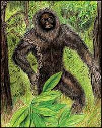Image result for forest man