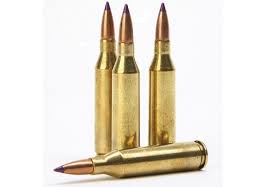 Image result for bullet pictures