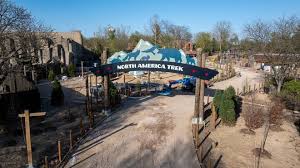 Columbus Zoo Welcomes Baby Asian Elephant, Another Expected Soon