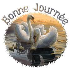 Résultat de recherche d'images pour "gif bonne soirée arbres"