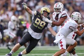 Bears fans can’t get enough of Jordan van den Berg