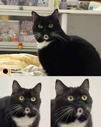 Em By ghét lắm!đói là đòi:”ăn,ăng…”,lúc no lại nói ngôn ngữ ...