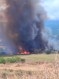 KHON2 - News update