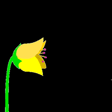 Image result for animated butterflies wallpaper