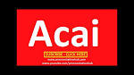 Acai Definition of Acai by Merriam-Webster