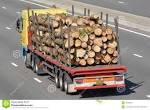 Camion trasporto legna(truck foresty) -