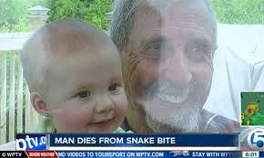 Bitten: Richard Flora, 76, pictured with a young relative, was bitten by an Eastern Diamondback Rattlesnake on Thursday out the front of his daughter&#39;s home ... - article-2317693-19928942000005DC-51_634x380