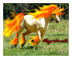 Rapidash