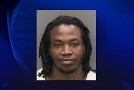 Police: Tampa man killed, cooked family dog. Thomas E. Huggins, 25, was arrested Friday morning and charged with animal cruelty ... - Thomas-Huggins-dog