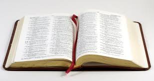 Image result for bible