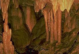 Image result for "Round Spring"