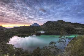 Image result for TELAGA DRINGO