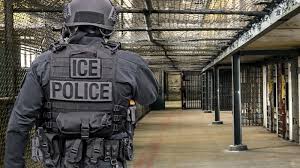 DHS launches 'Operation Catch of the Day' enforcement action in Maine