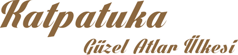 Katpatuka   Güzel Atlar Ülkesi ile ilgili görsel sonucu