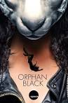 Robin des bois serie saison orphan