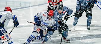 schwenninger wild wings