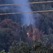 Möriken-Wildegg AG: Waldbrand beim Chestenberg ausgebrochen
