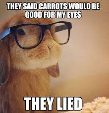 Bunny Quotes on Pinterest | Happy Bunny Quotes, Grav3yardgirl ... via Relatably.com
