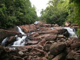 Image result for kanneliya forest resort