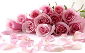 Resultado de imagen de flores