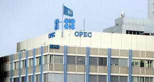 Image result for opec logo