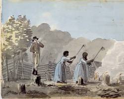 Image of Enslaved people working in the fields at Montpelier