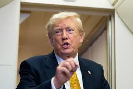 Judge regarding Trump's IRS lawsuit