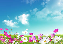 Image result for spring wallpaper free