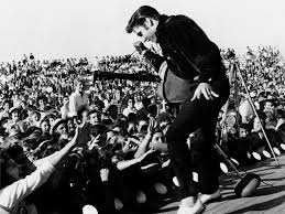 Image result for elvis presley