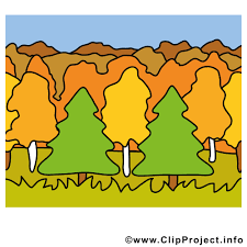 Bildergebnis für wald clipart