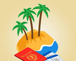 Image of passport and a palm tree