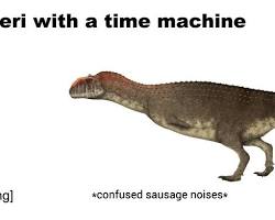 Time Machines in paleontology