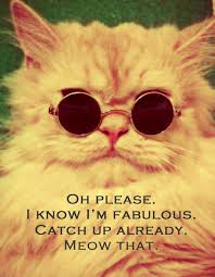 Quotes on Pinterest | Cat Quotes, Cat and Cool Cats via Relatably.com