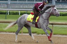 Image result for kentucky derby images 2016 ago